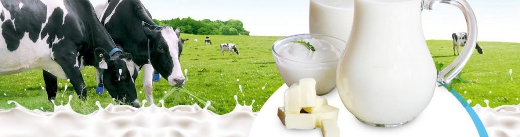 Công ty Cổ phần Sữa Ba Vì