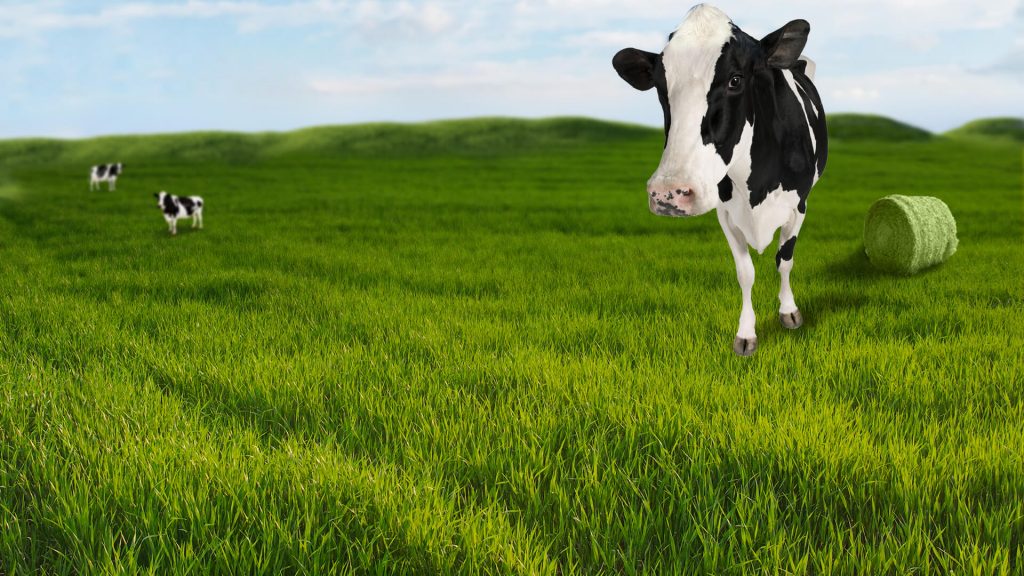 Công ty Cổ phần Sữa Ba Vì