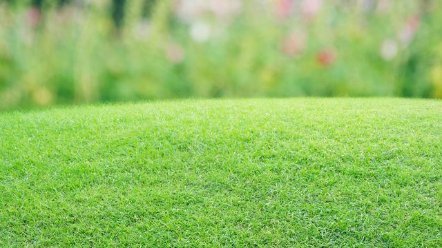 Công ty Cổ phần Sữa Ba Vì