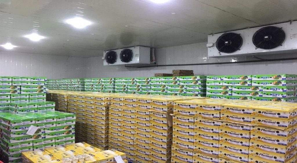 Sữa chua ăn Phomai được bảo quản trong kho lạnh đạt chuẩn