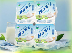 Công ty Cổ phần Sữa Ba Vì